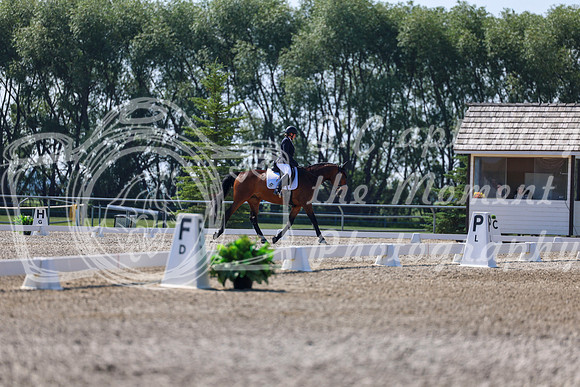 2025 - Dressage Festival - Saturday July 5th - 02365