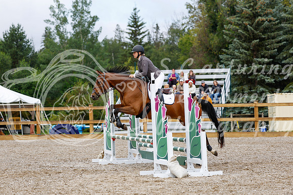 2025 - Haylee - Picco Horse Show - Sunday July 27th 01834