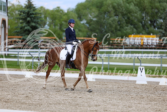 2025 - Dressage Festival - Saturday July 5th - 11814