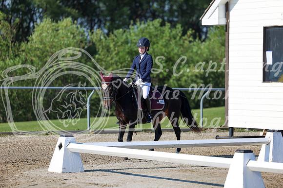 2025 - Dressage Festival - Saturday July 5th - 00652