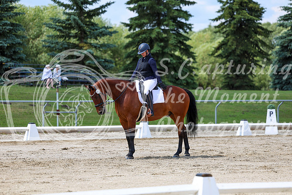 2025 - Dressage Festival - Saturday July 5th - 09723