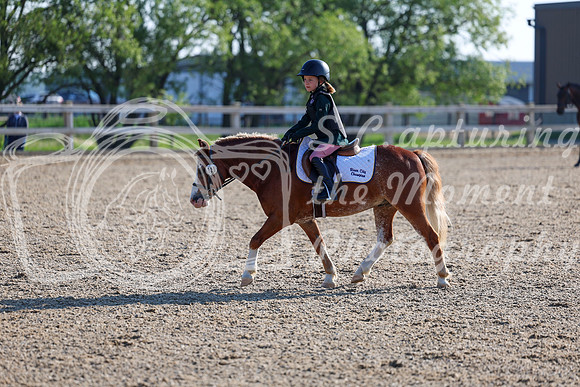 2025 - Dressage Festival - Saturday July 5th - 00031