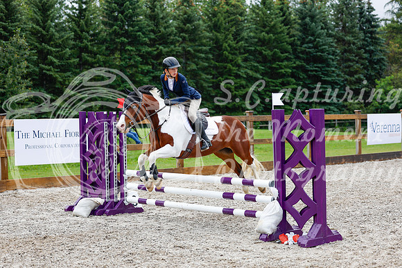 2025 - Haylee - Picco Horse Show - Sunday July 27th 01672