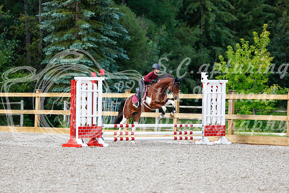 2025 - Haylee - Picco Horse Show - Friay July 25th 00576