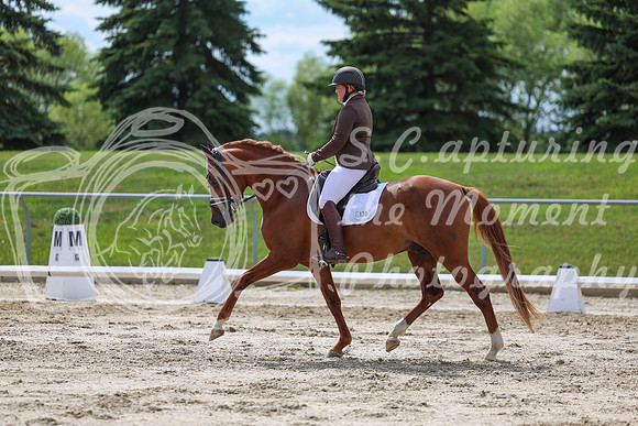 2025 - Dressage Festival - Saturday July 5th - 14159