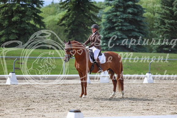 2025 - Dressage Festival - Saturday July 5th - 14146