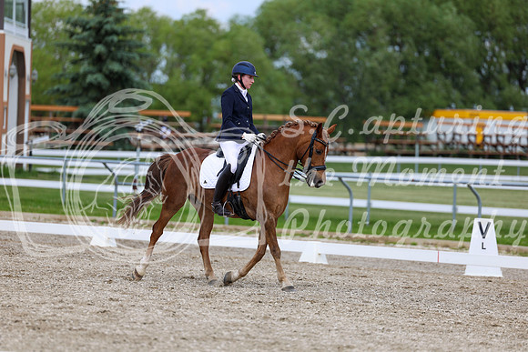 2025 - Dressage Festival - Saturday July 5th - 11853