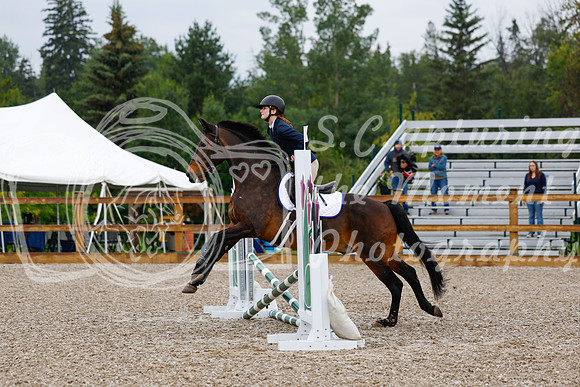 2025 - Haylee - Picco Horse Show - Sunday July 27th 00134