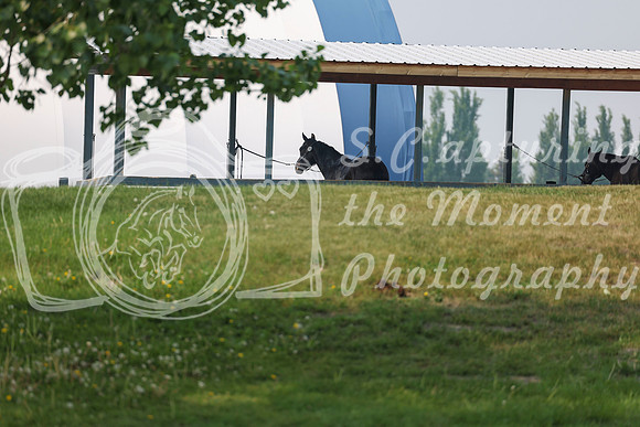 2025 - Shea - June Classic I - Wednesday June 11th - 03503