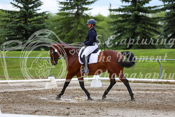 2025 - Dressage Festival - Sunday July 6th - 11810