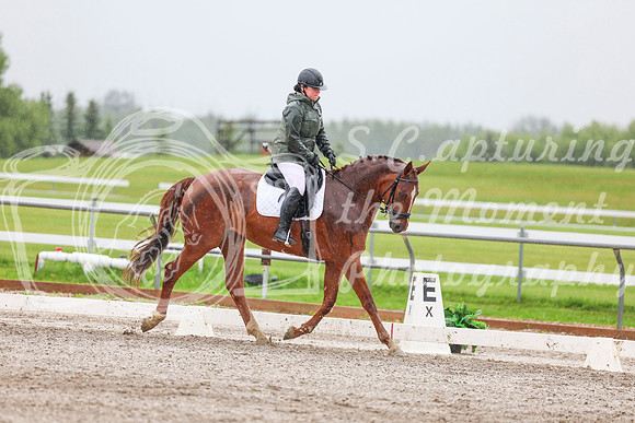 2025 - Dressage Festival - Sunday July 6th - 03600