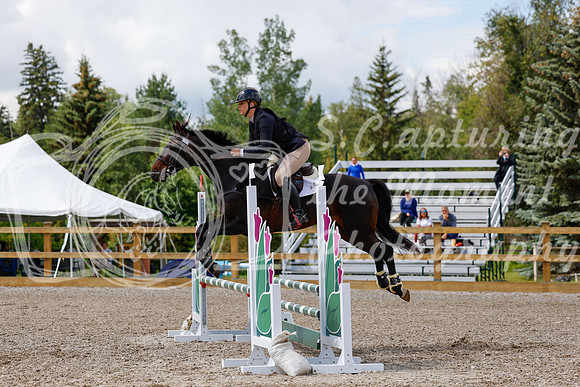 2025 - Haylee - Picco Horse Show - Sunday July 27th 03392