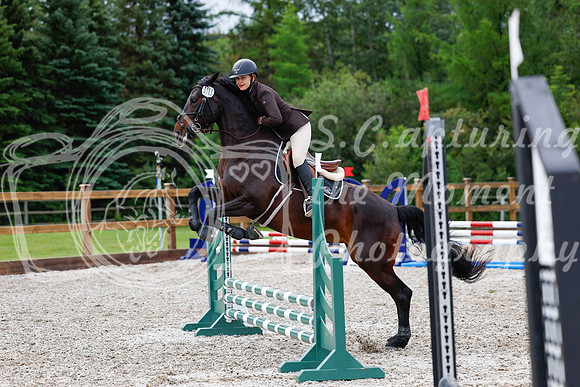 2025 - Haylee - Picco Horse Show - Friay July 25th 00446