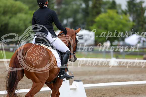2025 - Dressage Festival - Sunday July 6th - 12196