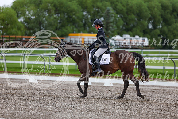 2025 - Dressage Festival - Sunday July 6th - 01684
