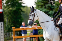 2025 - Haylee - Picco Horse Show - Saturday July 26th 07896