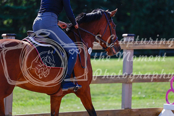 2025 - Haylee - Picco Horse Show - Thursday July 24th 00869