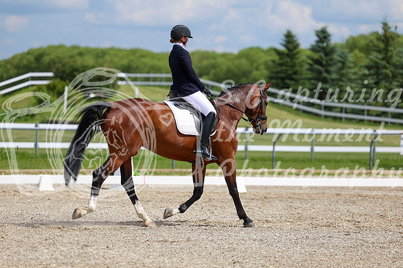 2025 - Dressage Festival - Saturday July 5th - 12846