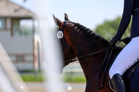 2025 - Dressage Festival - Saturday July 5th - 03552