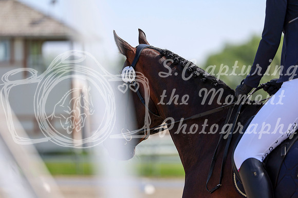 2025 - Dressage Festival - Saturday July 5th - 03552