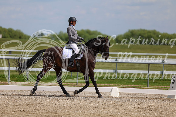 2025 - Dressage Festival - Saturday July 5th - 10361