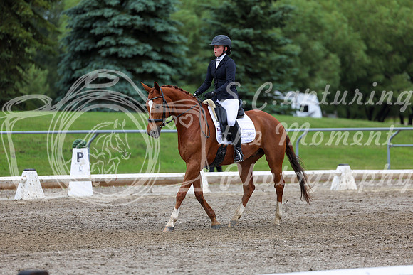 2025 - Dressage Festival - Sunday July 6th - 12270