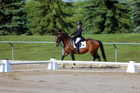 2025 - Dressage Festival - Saturday July 5th - 00419