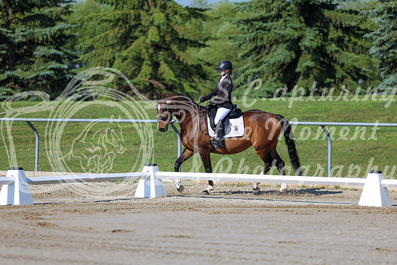 2025 - Dressage Festival - Saturday July 5th - 00419