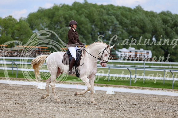 2025 - Dressage Festival - Saturday July 5th - 12084