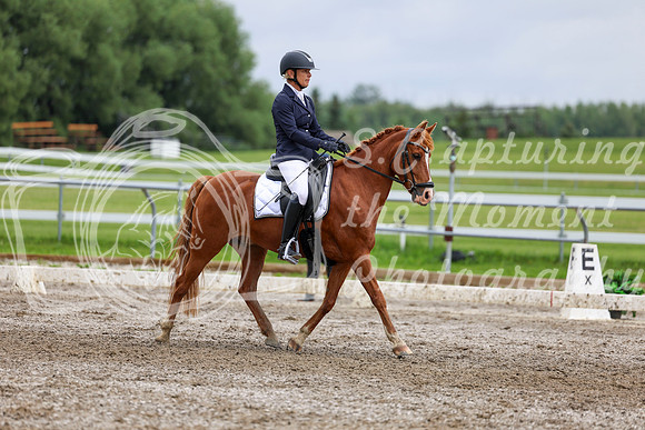2025 - Dressage Festival - Sunday July 6th - 12216