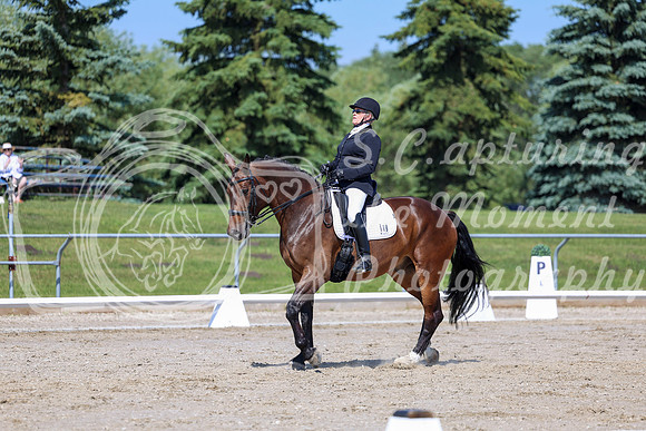 2025 - Dressage Festival - Saturday July 5th - 05279