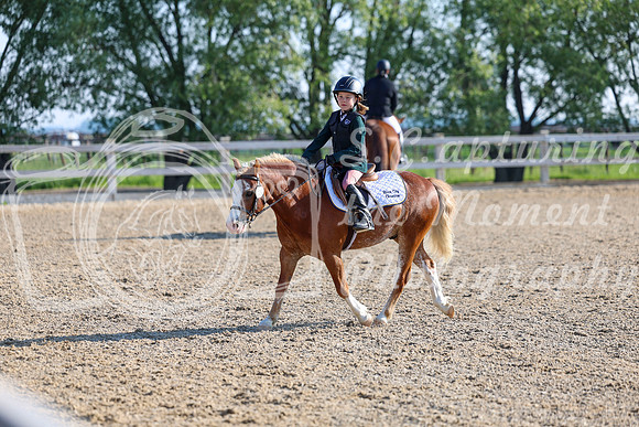 2025 - Dressage Festival - Saturday July 5th - 00003