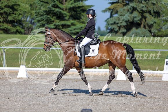 2025 - Dressage Festival - Saturday July 5th - 00434