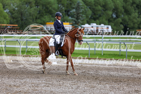 2025 - Dressage Festival - Sunday July 6th - 12207