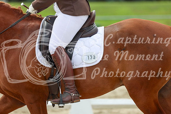 2025 - Dressage Festival - Saturday July 5th - 14096