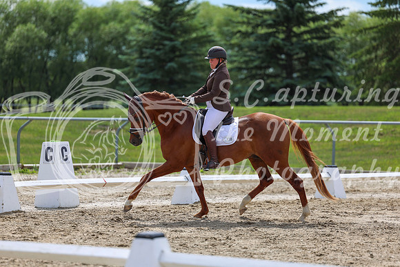 2025 - Dressage Festival - Saturday July 5th - 14162