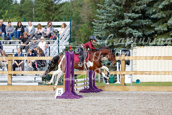 2025 - Haylee - Picco Horse Show - Friay July 25th 00583