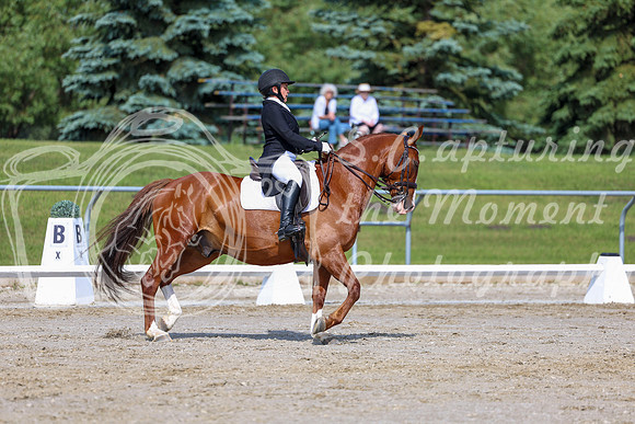 2025 - Dressage Festival - Saturday July 5th - 02672