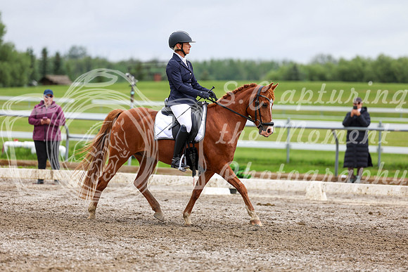 2025 - Dressage Festival - Sunday July 6th - 12220