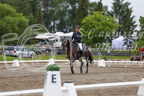 2025 - Dressage Festival - Sunday July 6th - 01876