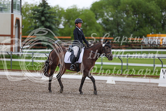 2025 - Dressage Festival - Sunday July 6th - 01625