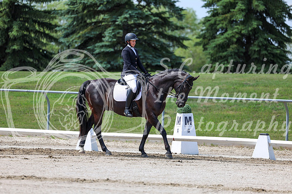 2025 - Dressage Festival - Saturday July 5th - 07079