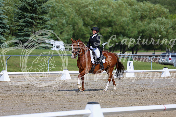 2025 - Dressage Festival - Saturday July 5th - 02602