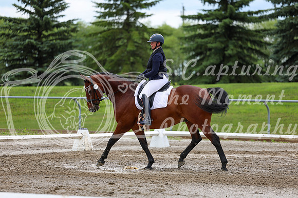 2025 - Dressage Festival - Sunday July 6th - 11809