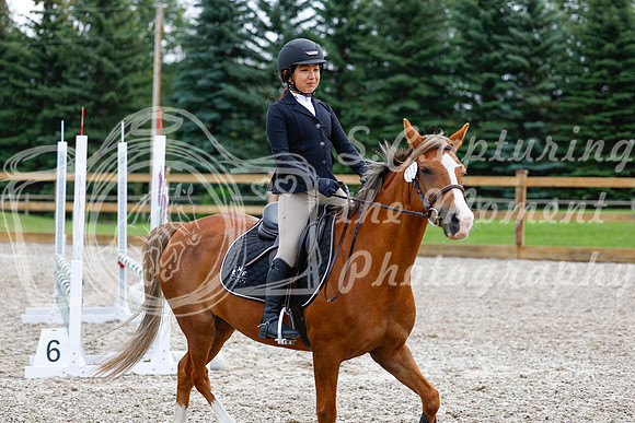 2025 - Haylee - Picco Horse Show - Saturday July 26th 02316
