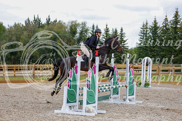 2025 - Haylee - Picco Horse Show - Saturday July 26th 05248