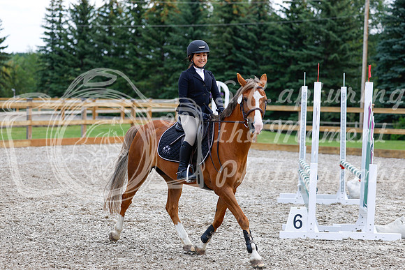 2025 - Haylee - Picco Horse Show - Saturday July 26th 02310