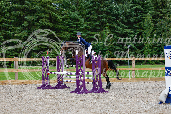 2025 - Haylee - Picco Horse Show - Sunday July 27th 03780