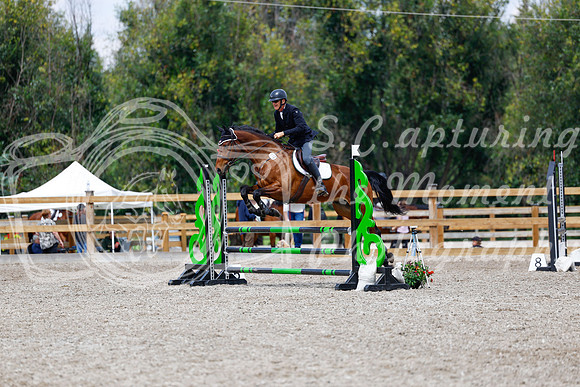 2025 - Haylee - Picco Horse Show - Saturday July 26th 06034