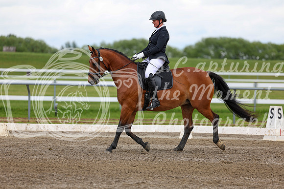 2025 - Dressage Festival - Sunday July 6th - 11722